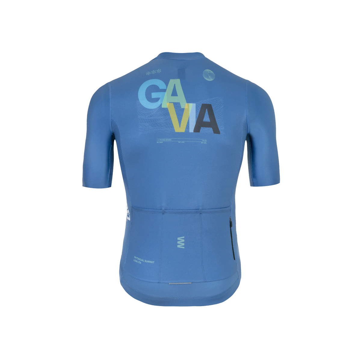 GAVIA-M-BACK.jpg?v=